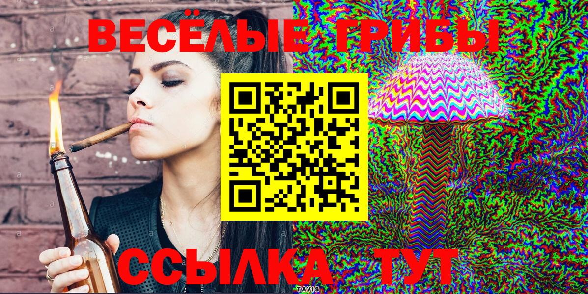 Тосно  Псилоцибиновые грибы прущие грибы  Вход с VPN 