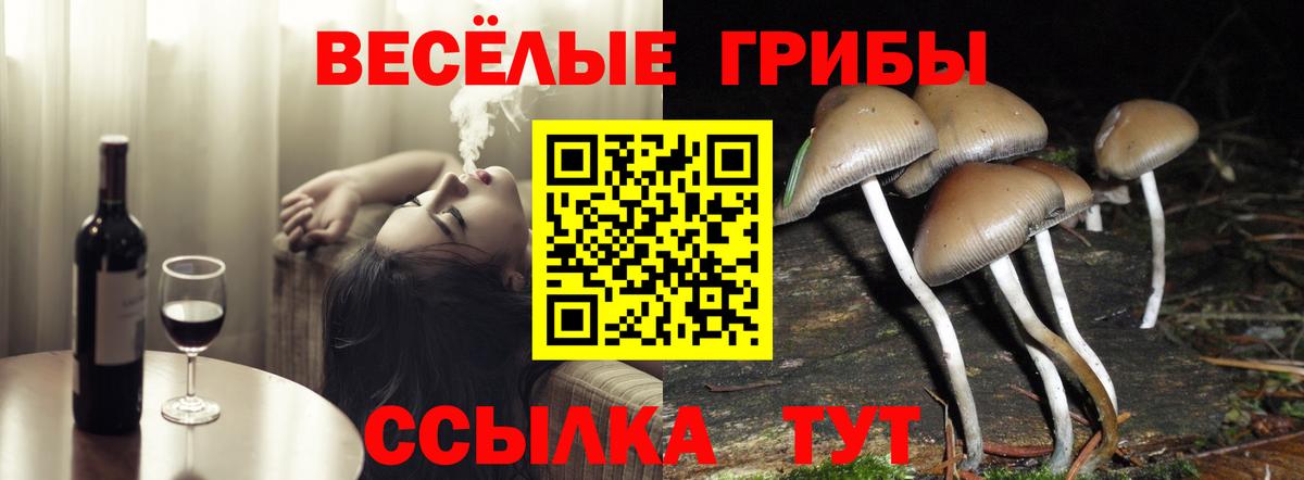 Псилоцибиновые грибы Magic Shrooms Тосно